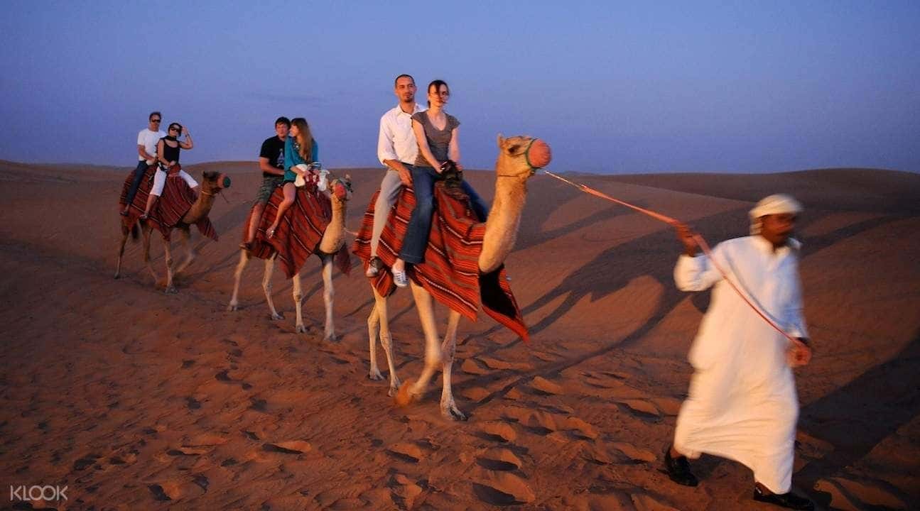 Al Maha Desert Safari Tour and BBQ Dinner in Dubai2