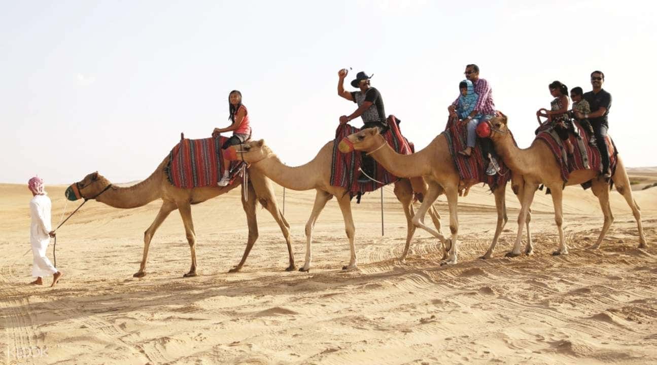 Camel Trekking Experience in Abu Dhabi4