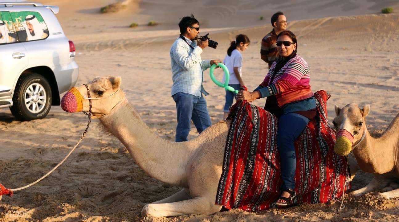 Camel Trekking Experience in Abu Dhabi2