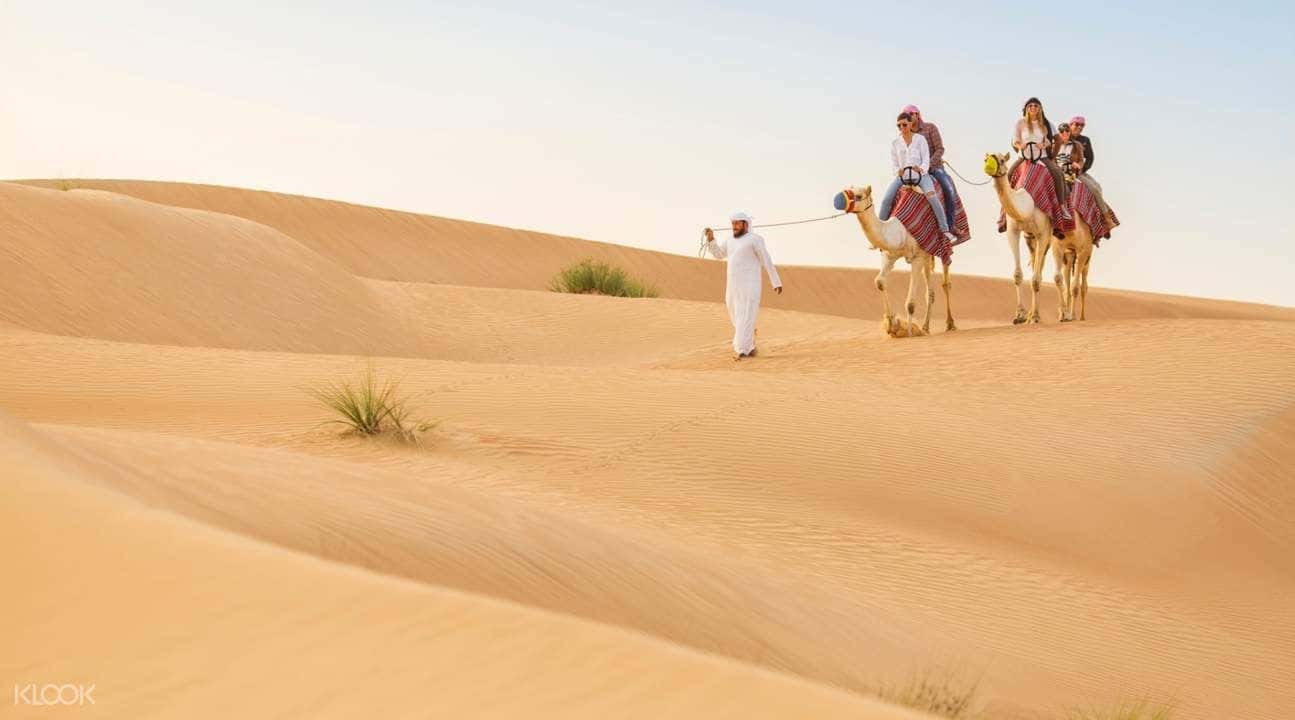 Desert Safari Experience in Abu Dhabi2
