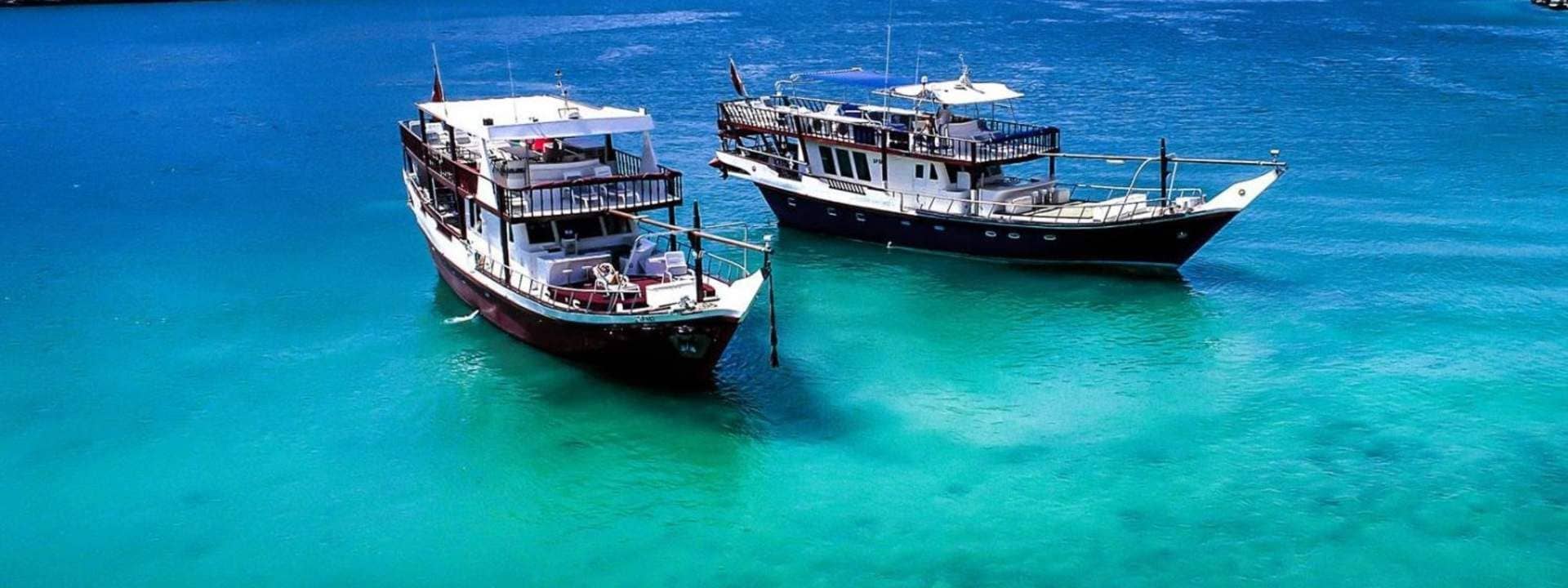 Dibba Musandam Sea Safari