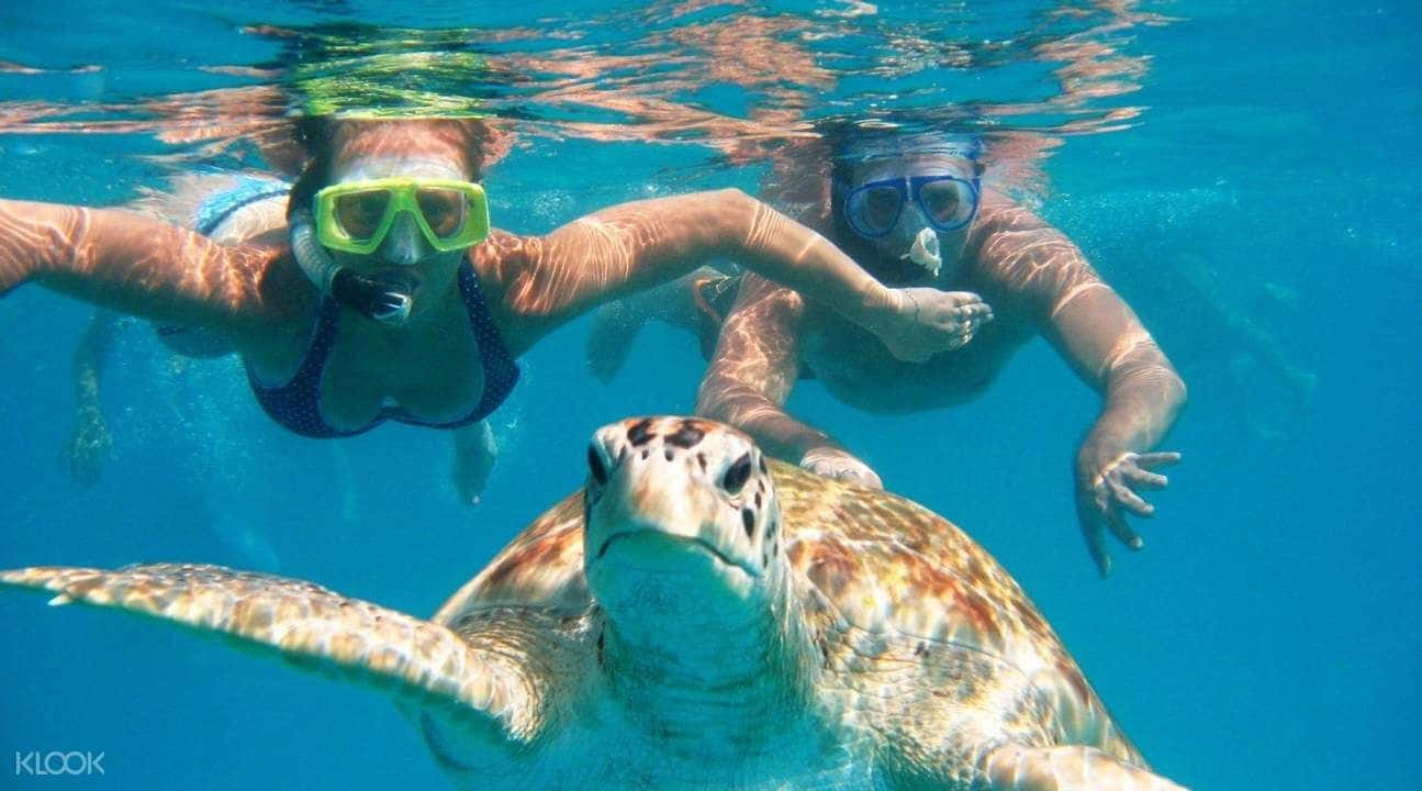 Dibba Musandam Sea Tour from Ras Al Khaimah with Lunch4