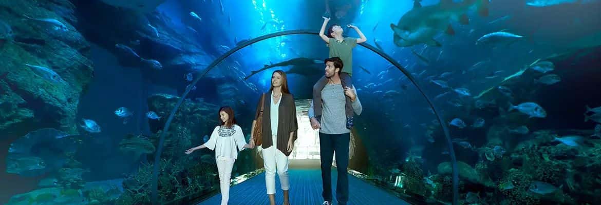 Dubai Aquarium And Underwater Zoo1