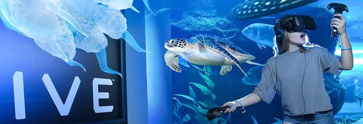 Dubai Aquarium And Underwater Zoo