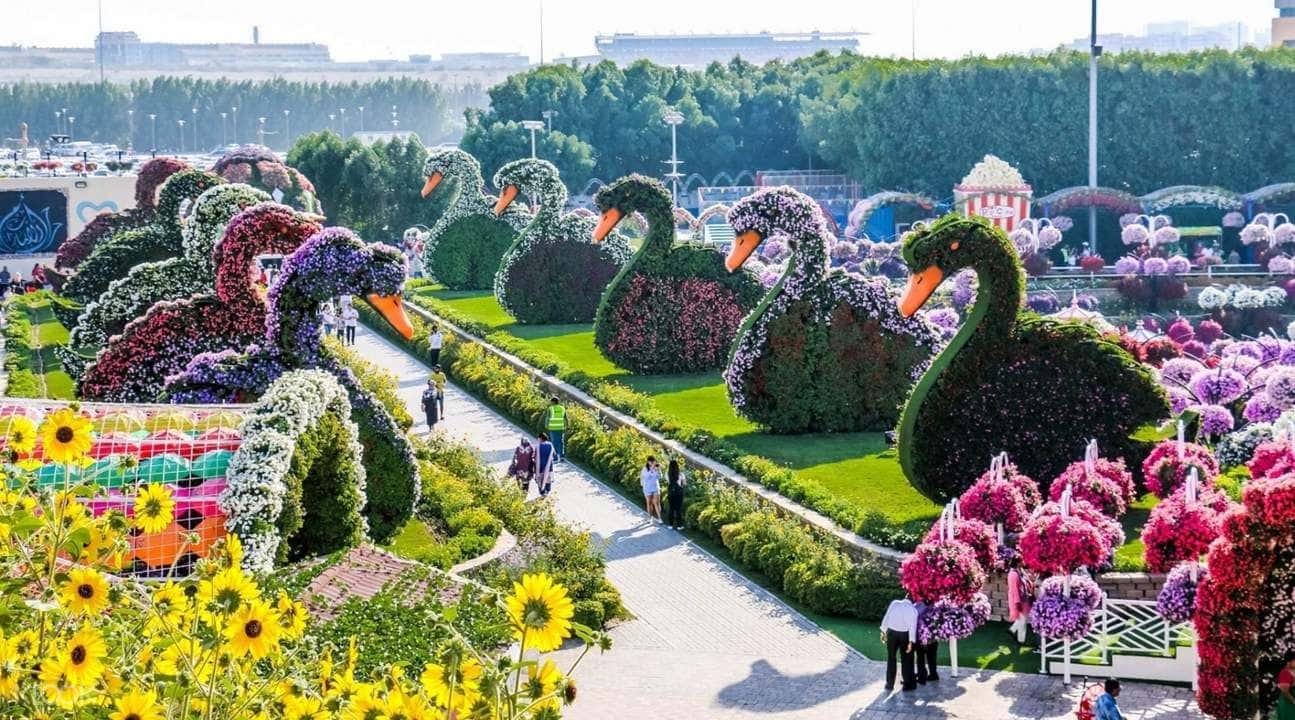 Dubai City Full Day Tour with Miracle Garden Ticket4