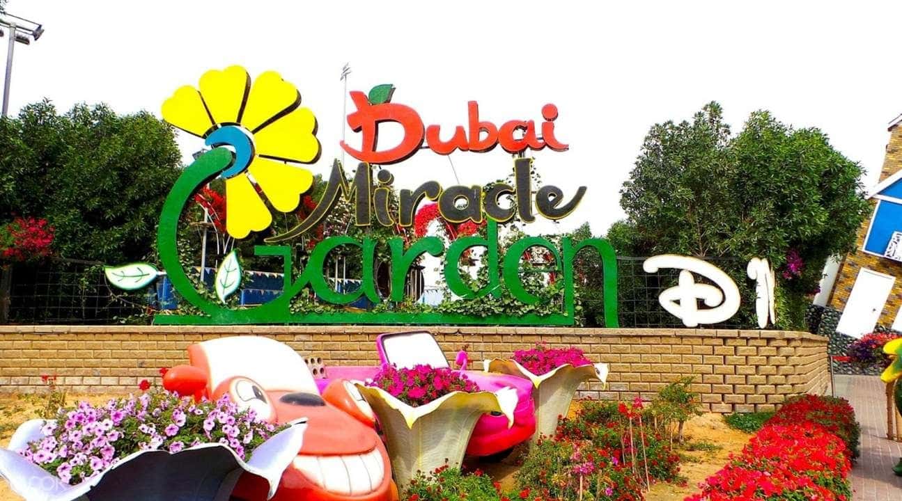 Dubai City Full Day Tour with Miracle Garden Ticket3