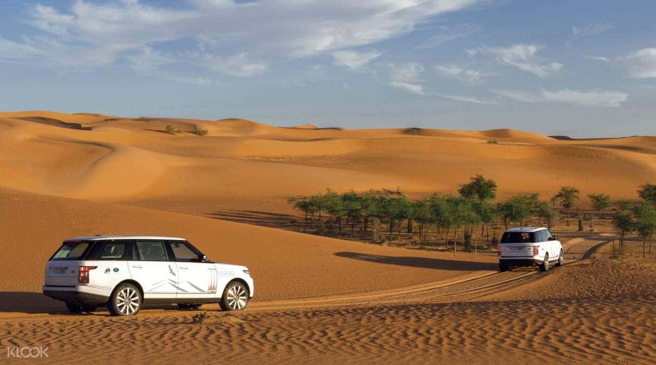 Dubai Desert Conservation Reserve Adventure by Platinum Heritage3