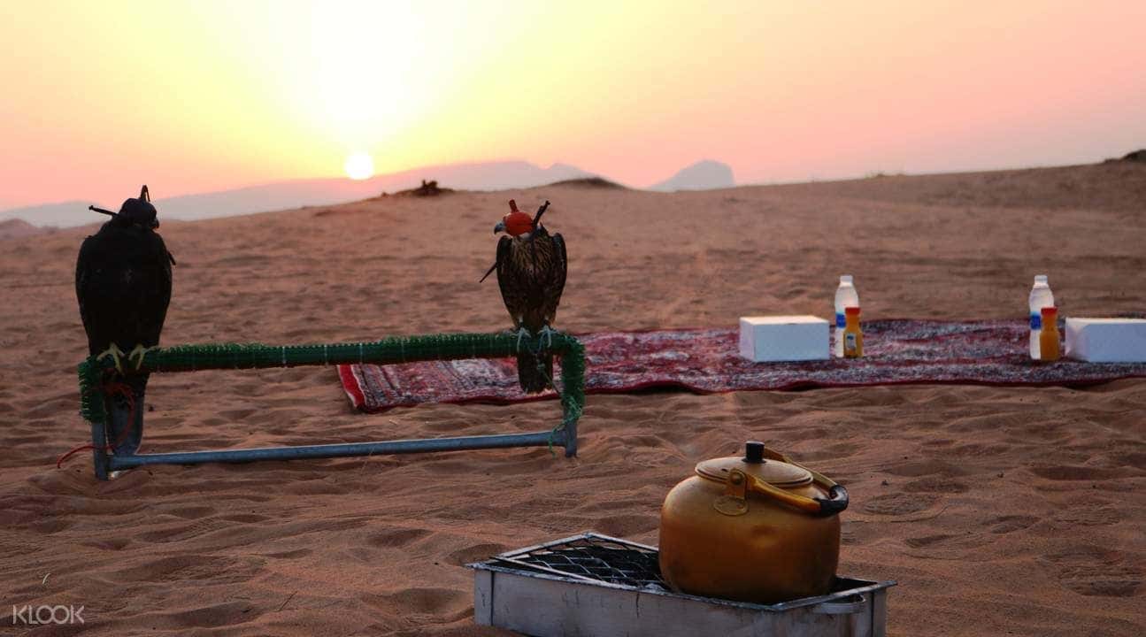 Dubai Early Risers Desert Drive Tour3