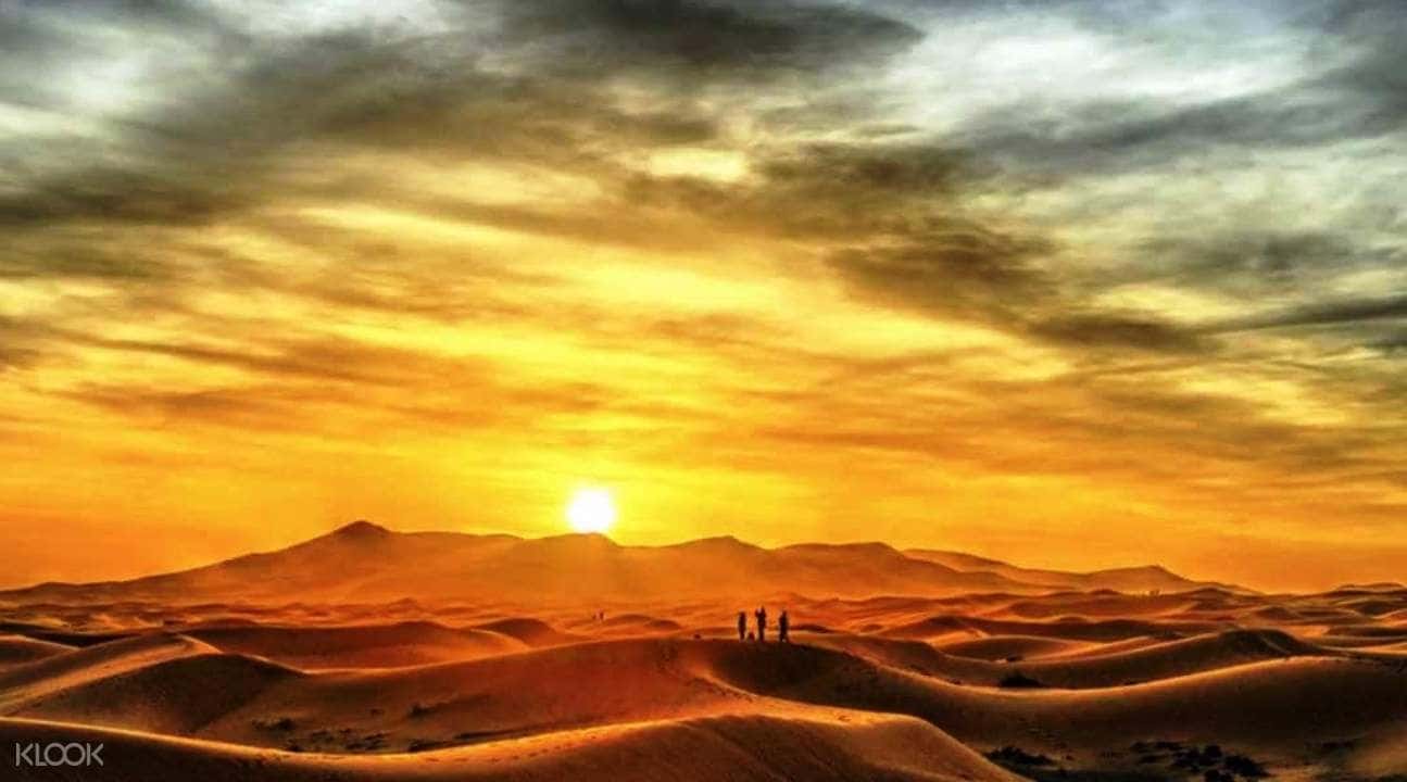 Dubai Early Risers Desert Drive Tour1