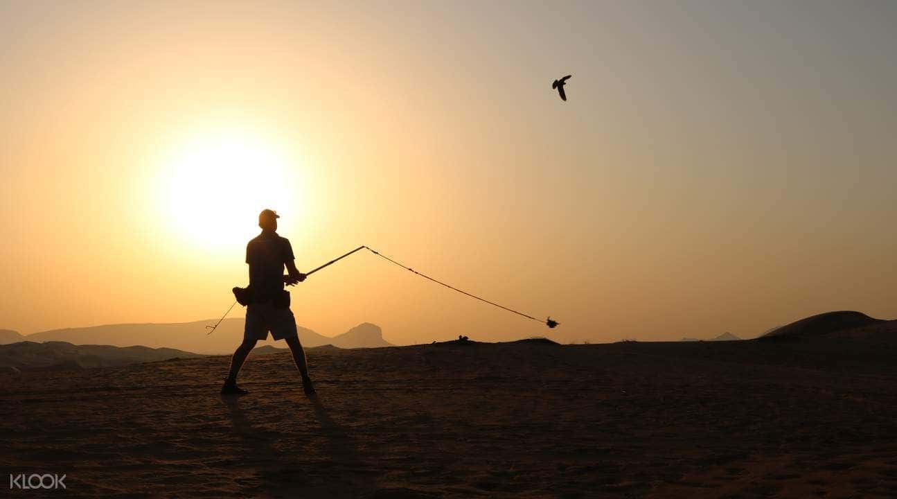 Dubai Early Risers Desert Drive Tour4