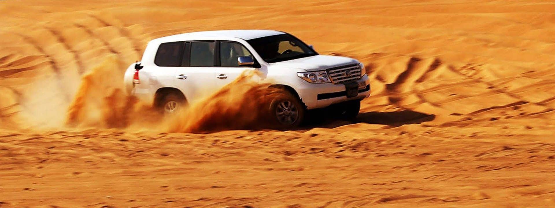Dubai Early Risers Desert Drive Tour