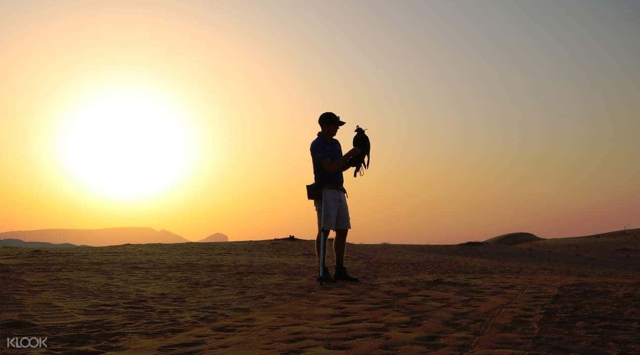 Dubai Early Risers Desert Drive Tour2