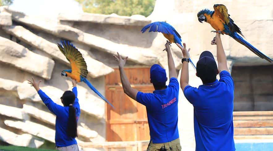 Emirates Park Zoo2
