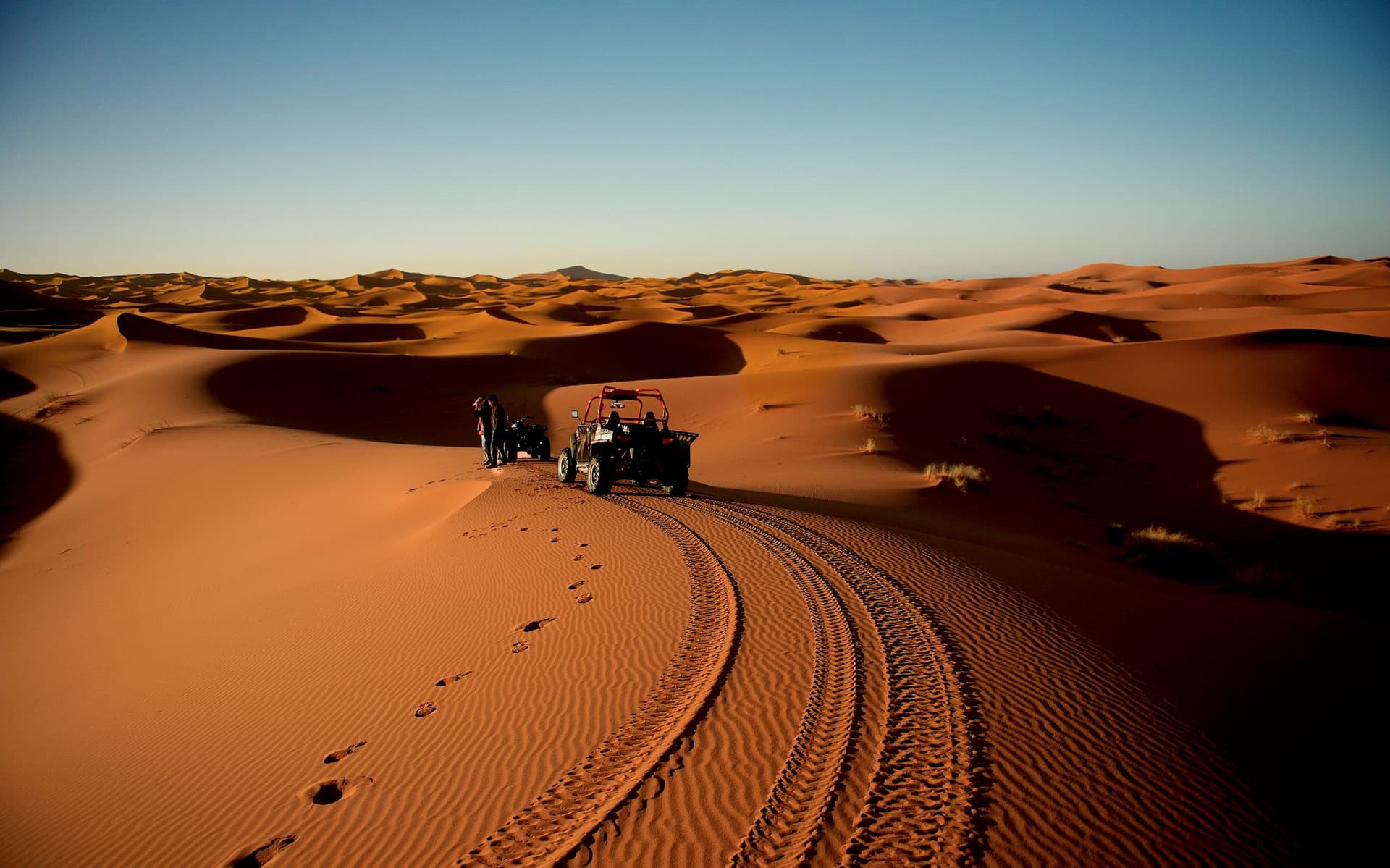 Evening Dune Buggy Safari + Dinner + Entertainment