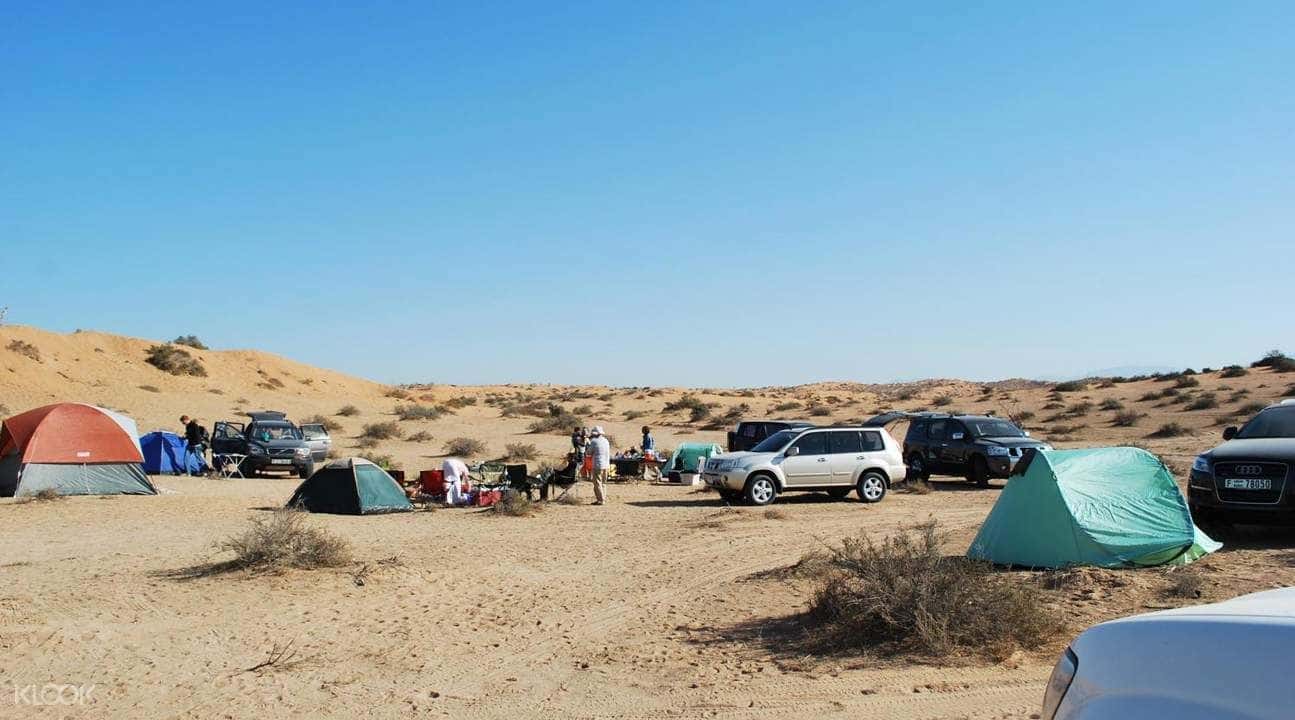 Fujairah & Dibba City Tour from Ras Al Khaimah1