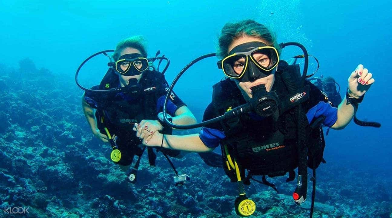 Fujairah Scuba Diving Experience from Dubai2