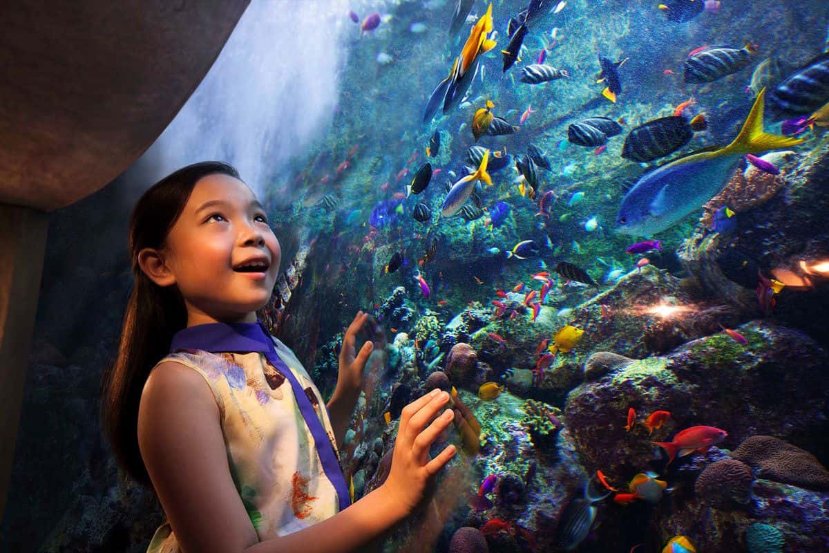 Go City: Dubai All-Inclusive Pass3