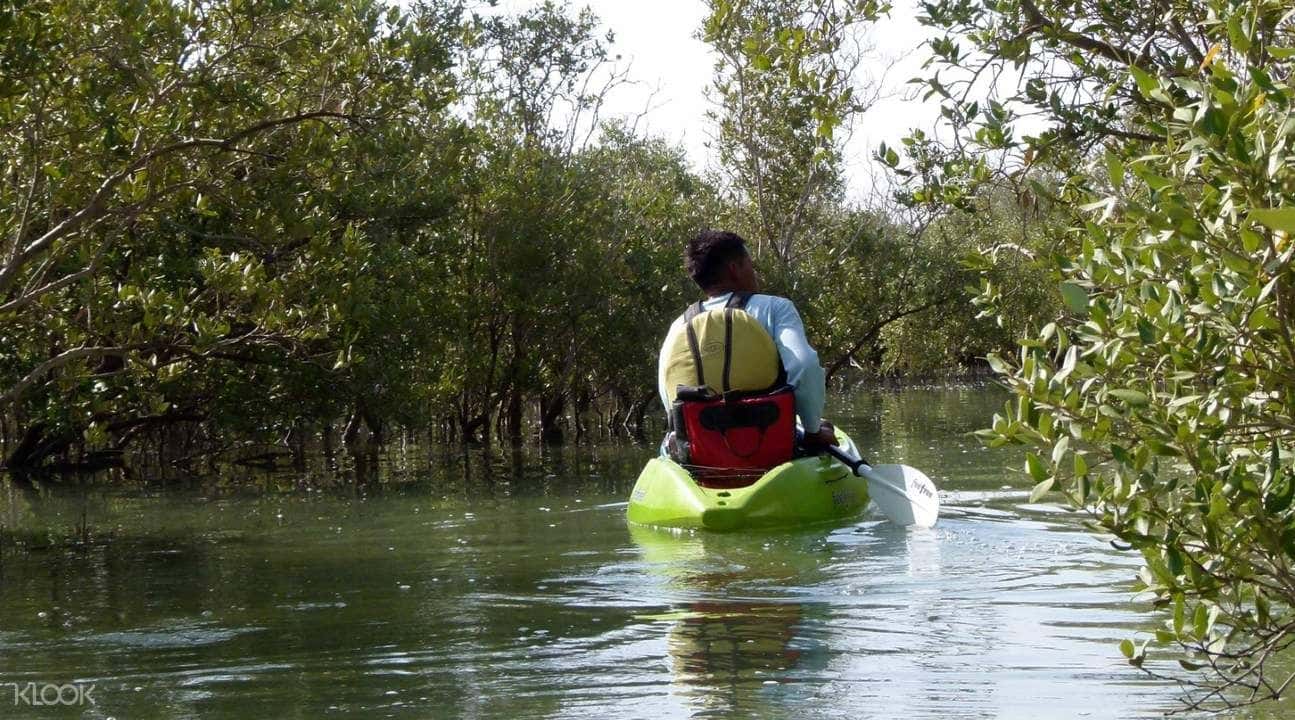 Mangrove Kayaking Experience in Abu Dhabi2