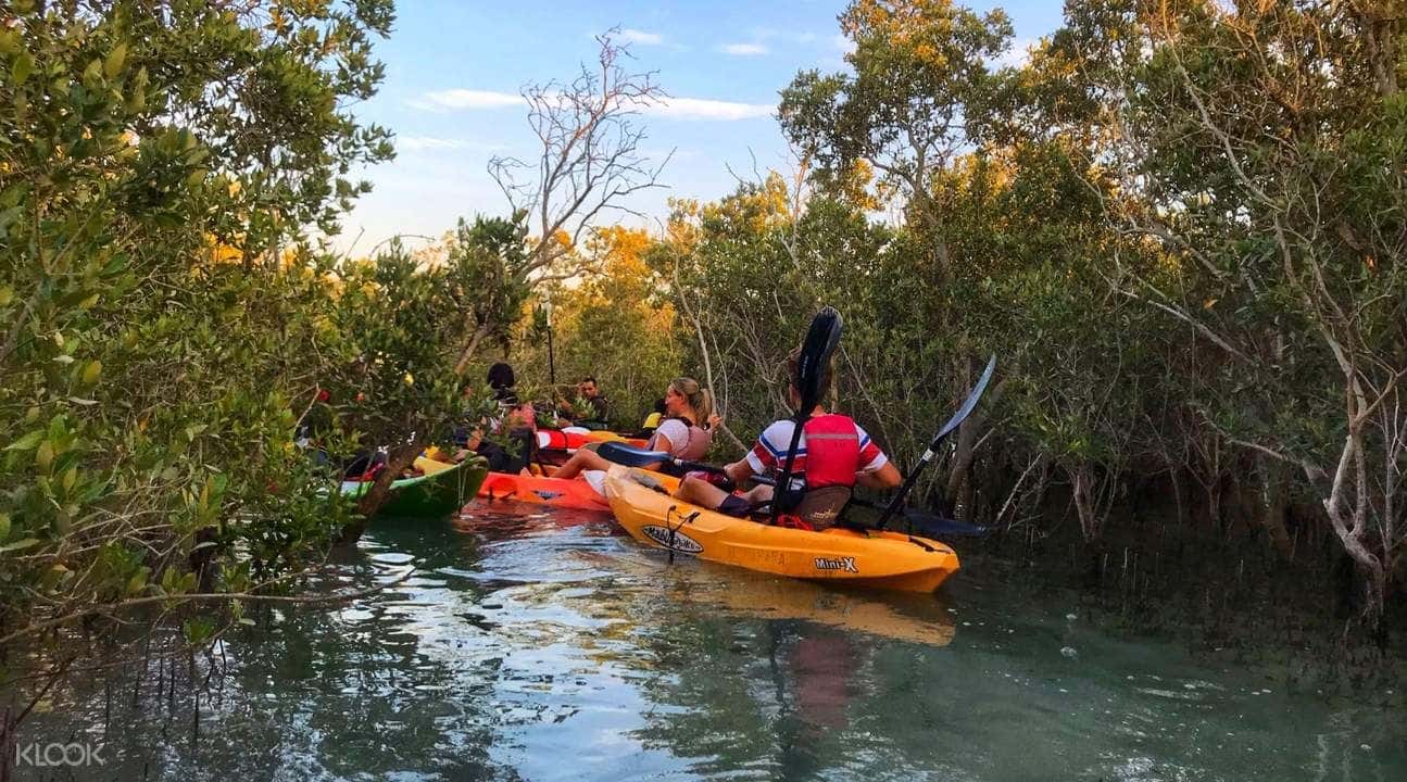 Mangrove Kayaking Experience in Abu Dhabi3
