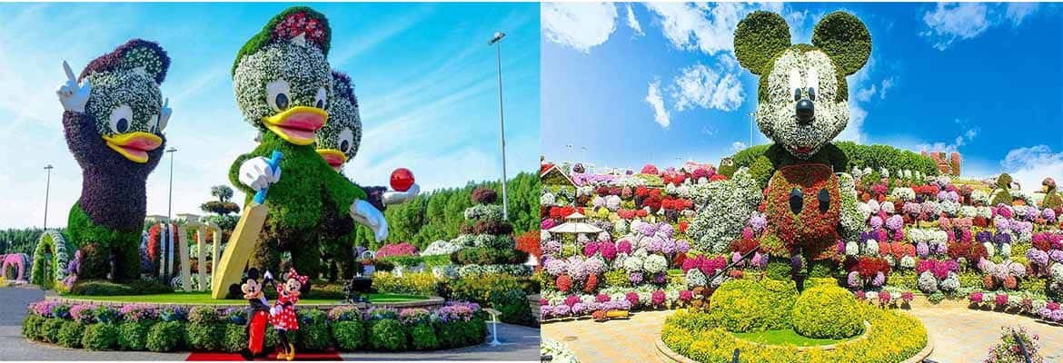 Miracle Garden Dubai1