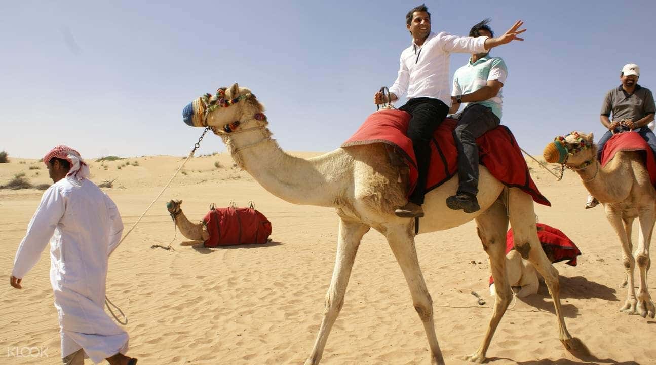 Morning Desert Safari Tour2
