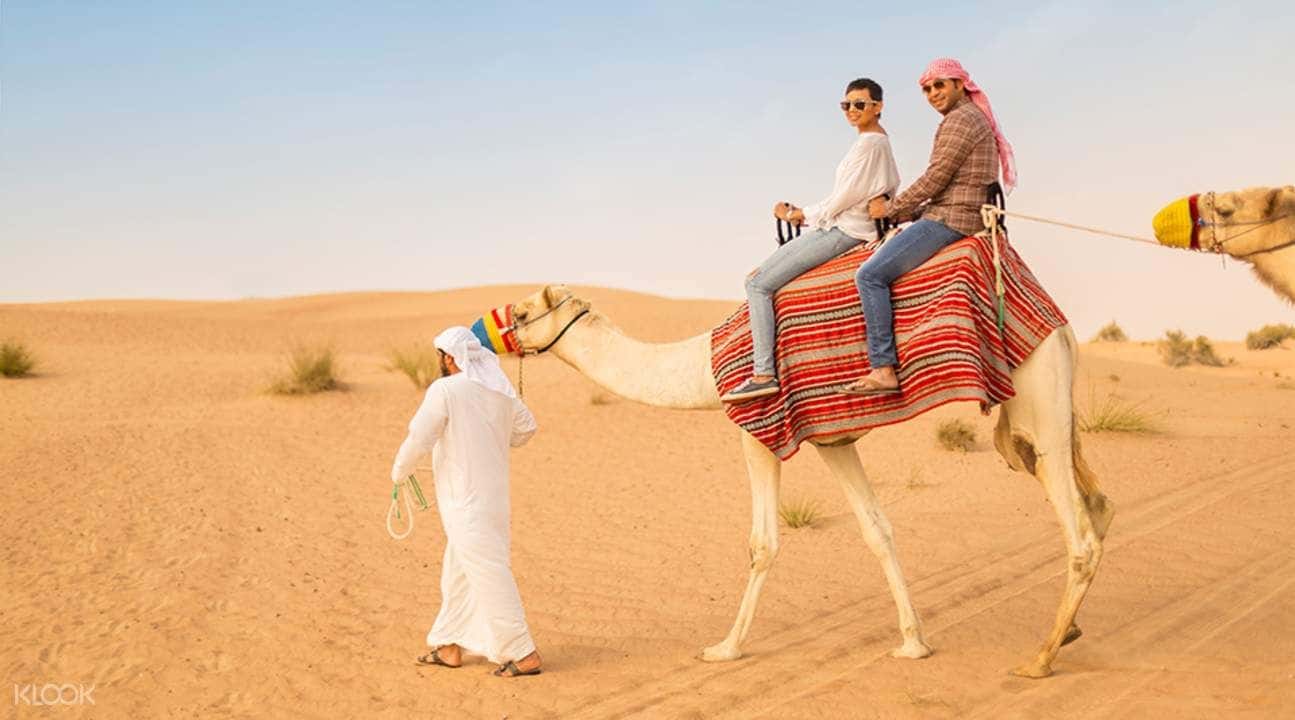 Morning Desert Safari Tour from Dubai3