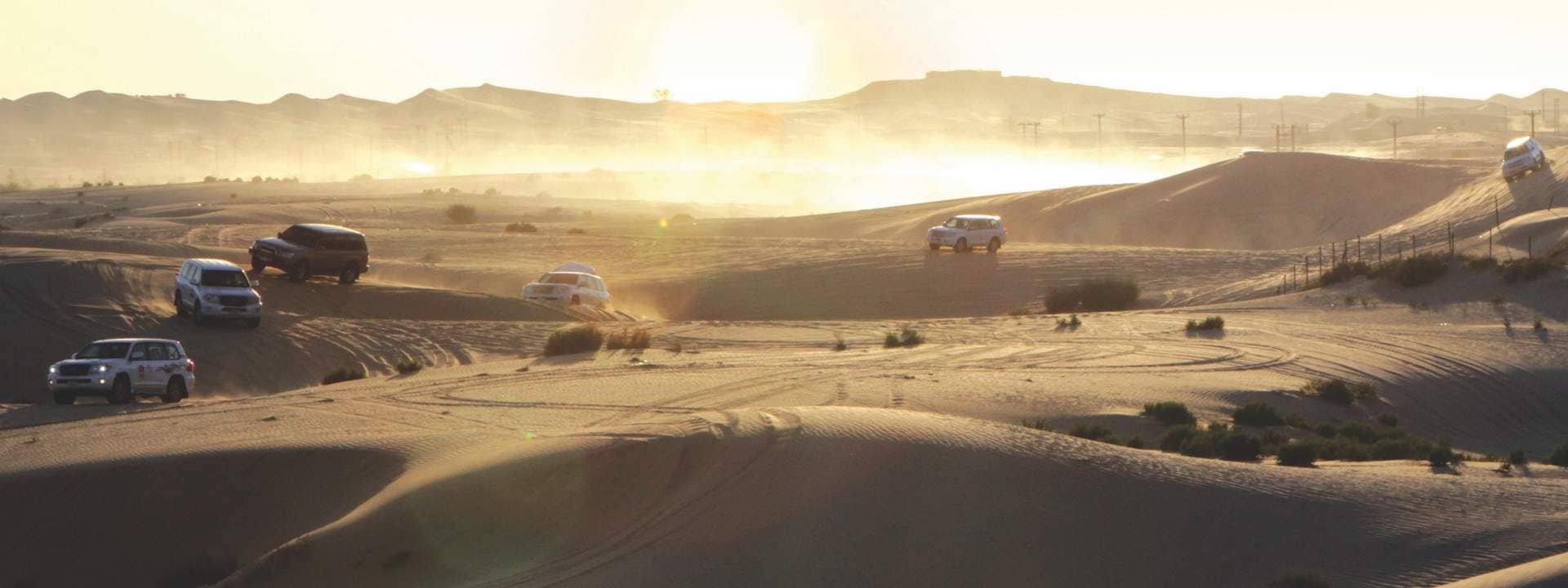 Morning Desert Safari Tour from Sharjah