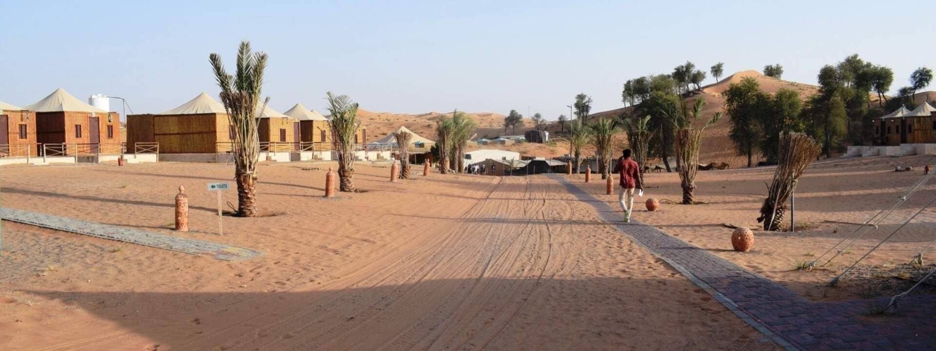 Morning Desert Safari with Camel and Date Farm Tour