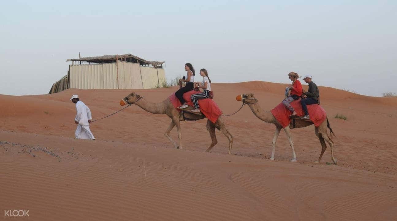 Morning Desert Safari with Camel and Date Farm Tour1