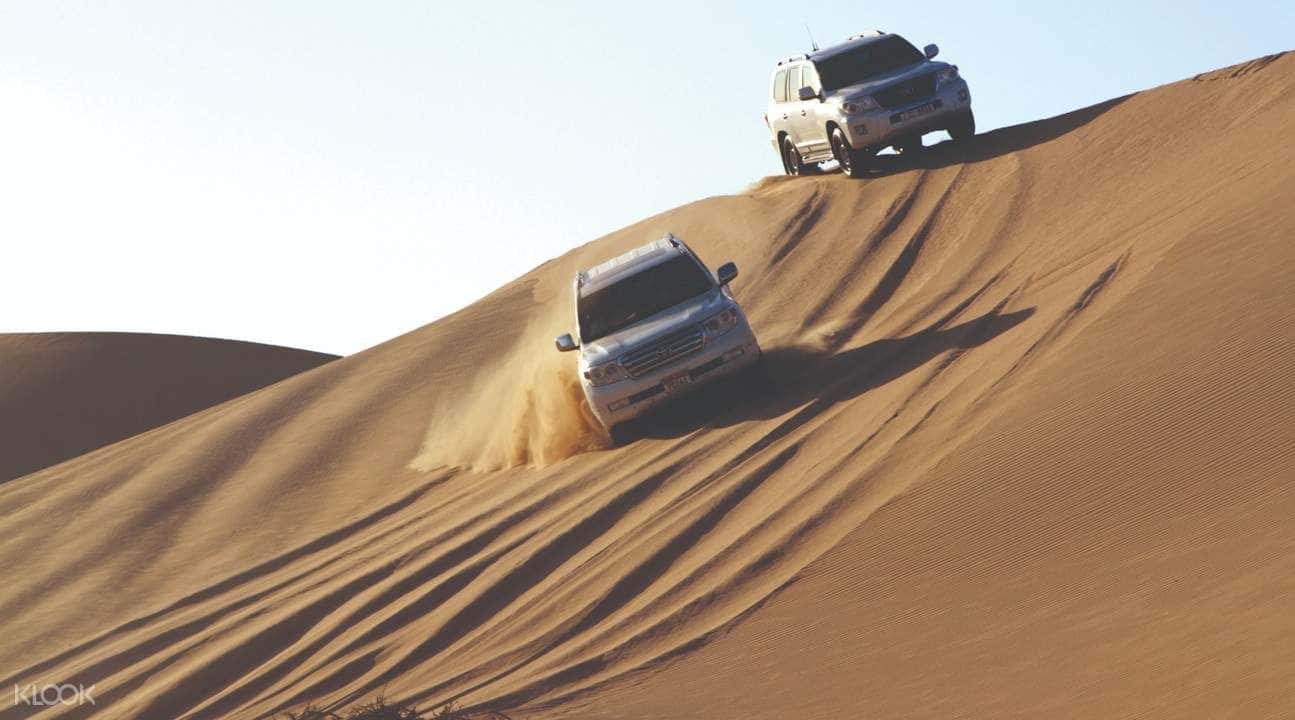 Overnight Desert Safari Experience from Abu Dhabi1
