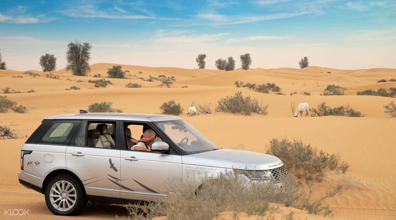 Platinum Desert Safari Experience by Platinum Heritage2
