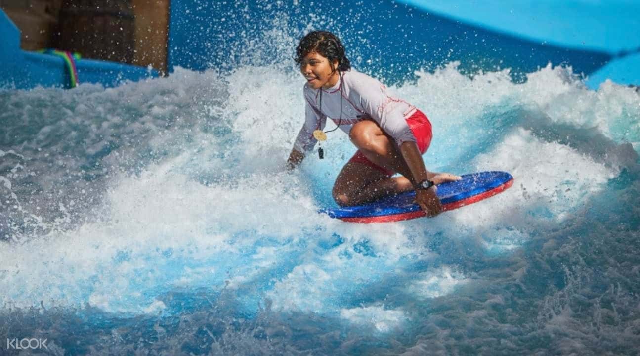 Wild Wadi Water Park4