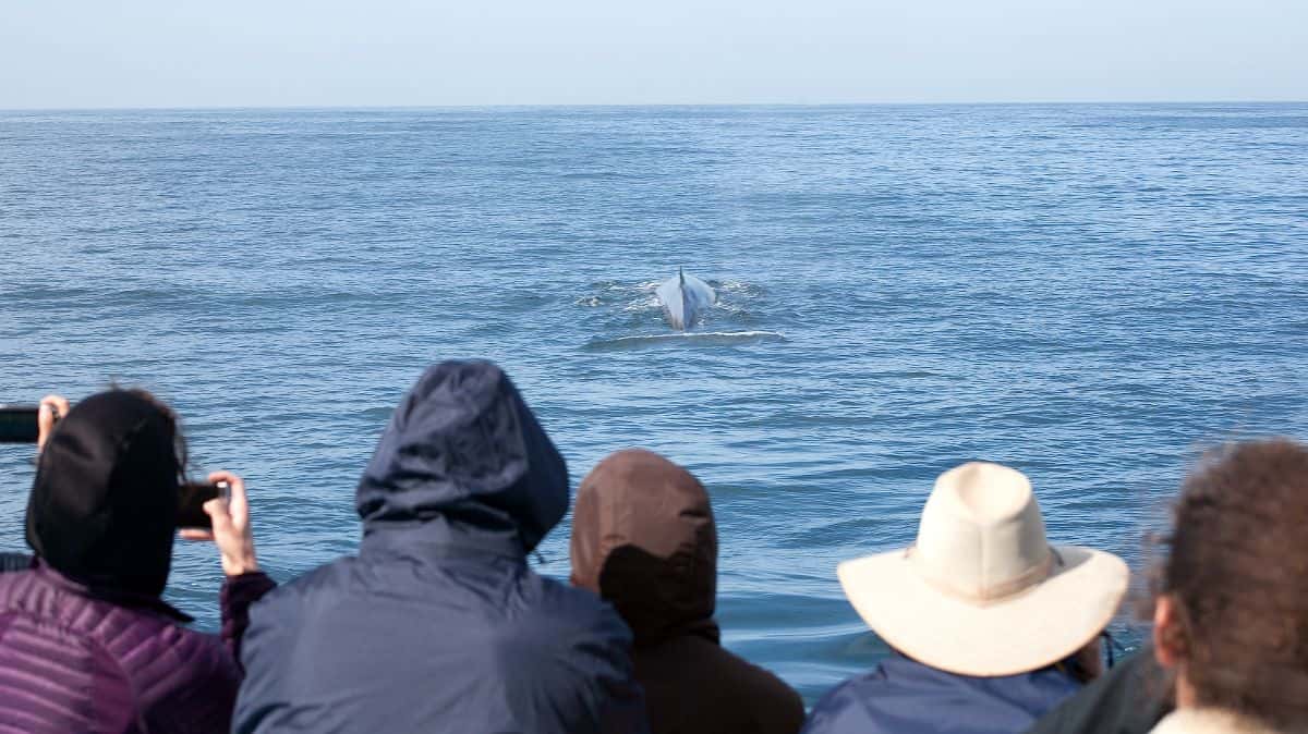 Go City: Los Angeles Explorer Pass3