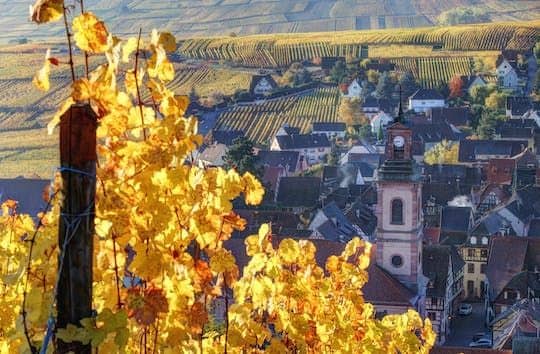 Alsace half-day shared wine tour from Colmar