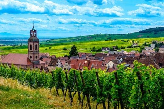 Alsace villages half-day shared tour from Colmar