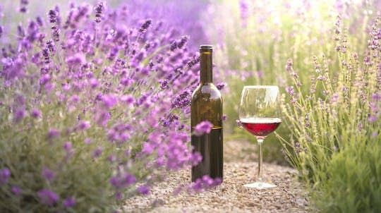 Bandol and Cassis full-day private wine tour