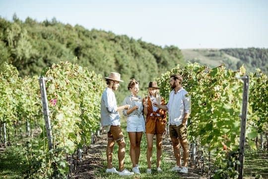 Beaujolais private cheese and wine tour