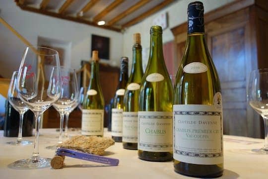 Chablis wine tasting session at the Domaine Clotilde Davenne