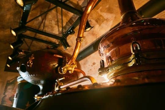 Cognac vineyards and distilleries half-day private tour from Charente