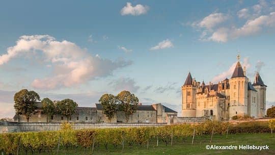 Entrance ticket to Castle of Saumur