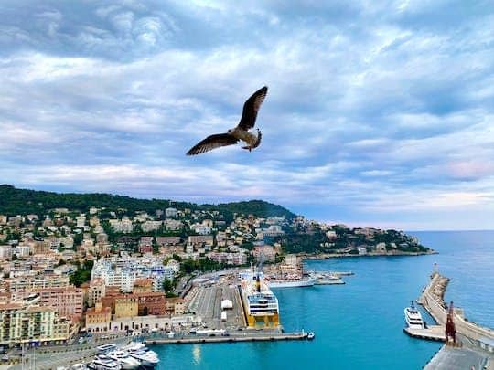 French Riviera highlights full day tour