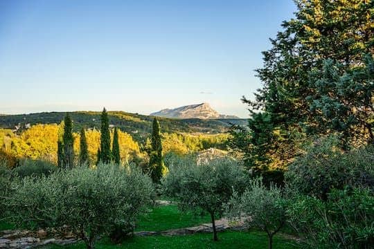 Full day tour of Cézanne's Aix-en-Provence with wine tasting