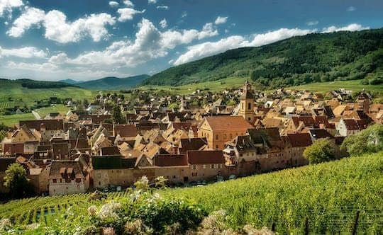 Full-day convertible car excursion on the Alsace wine route