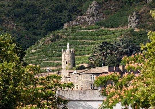Full-day tour of the Northern Rhône Valley with tasting
