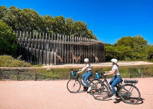 Guided Tour of Lyon's Parc de la Tête d'Or with a local guide