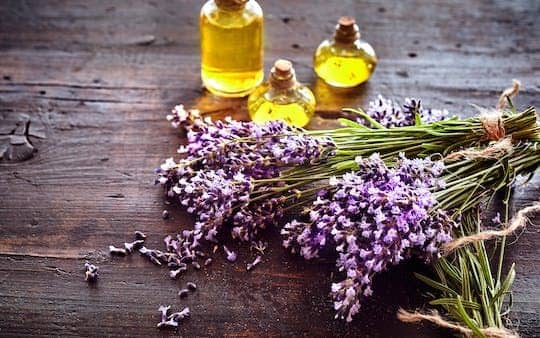 Lavender fields afternoon tour from Aix en Provence