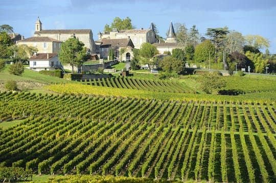 Morning wine tour to Saint-Emilion