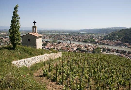 Northern Rhône cheese and wine tour from Lyon
