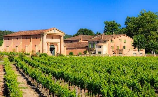 Private Provençal wine tour
