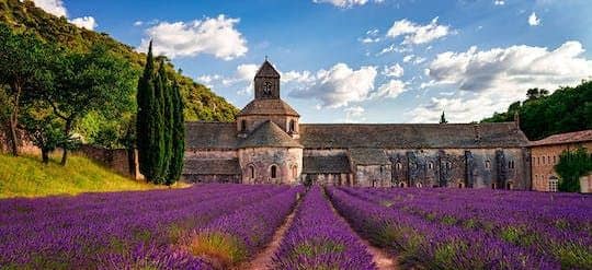Sault lavender fields full-day guided tour from Avignon